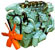 Piese motor Perkins T6.3543 (TP)